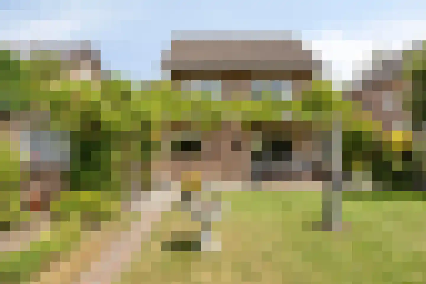 Pannenschuurlaan 25 Oisterwijk thumbnail 43