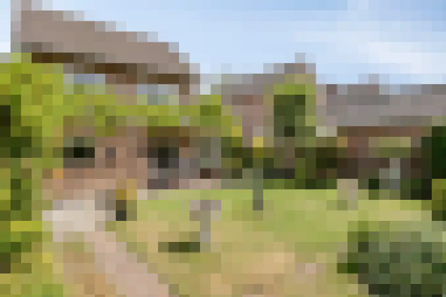 Pannenschuurlaan 25 Oisterwijk thumbnail 43