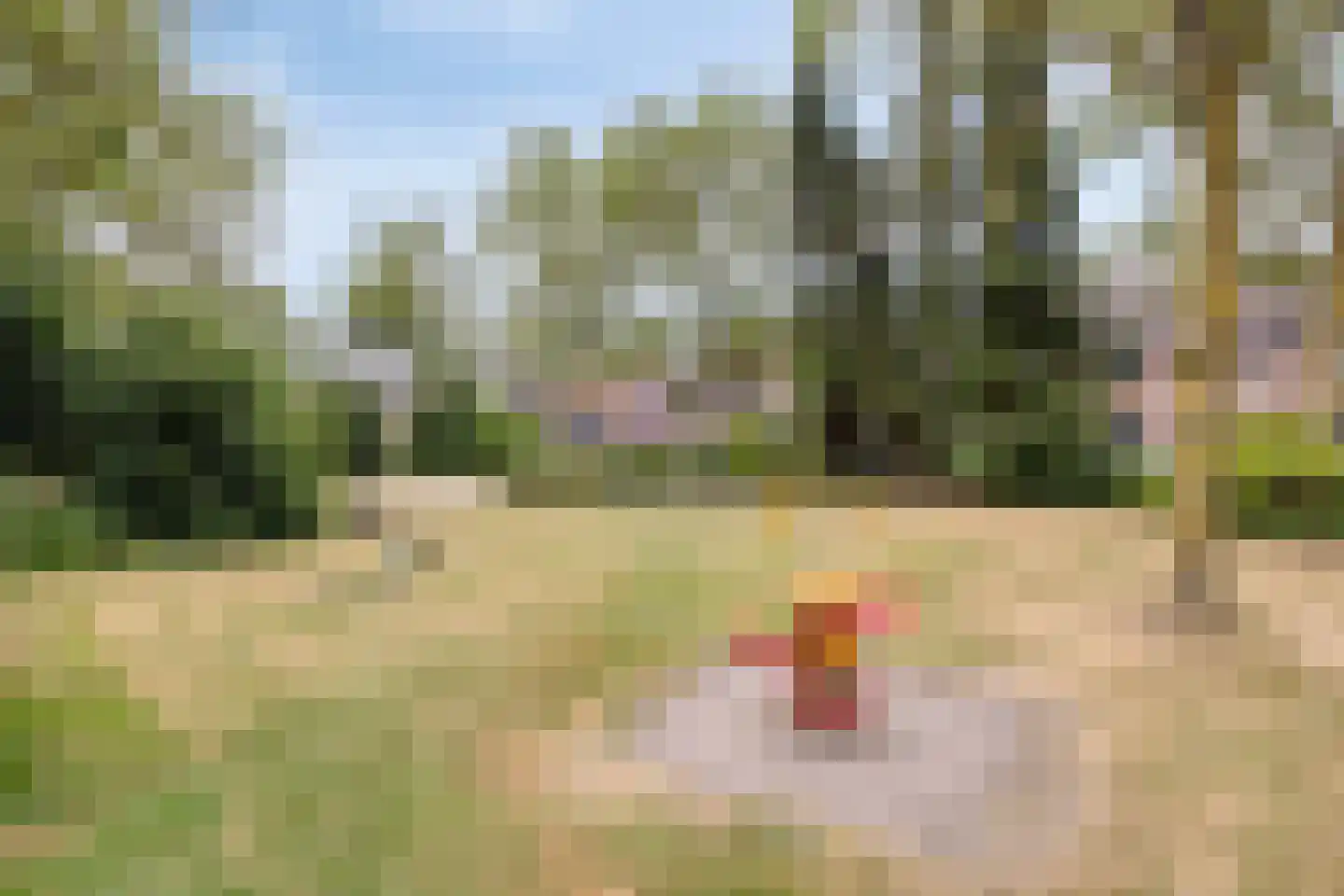 Pannenschuurlaan 25 Oisterwijk thumbnail 47