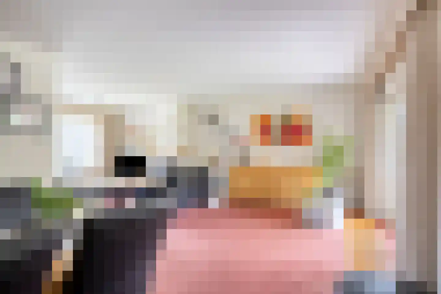 Pannenschuurlaan 25 Oisterwijk thumbnail 8