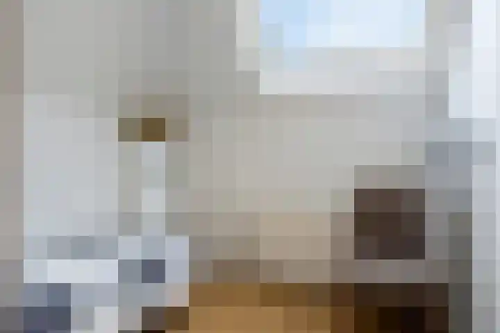 Pannenschuurlaan 63 Oisterwijk thumbnail 17