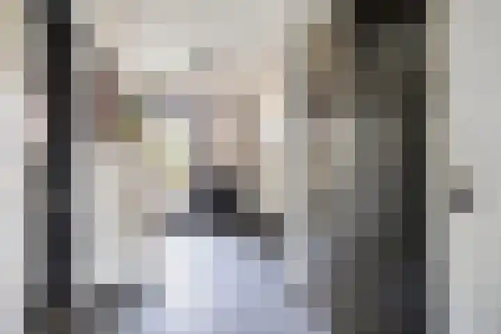 Pannenschuurlaan 63 Oisterwijk thumbnail 22