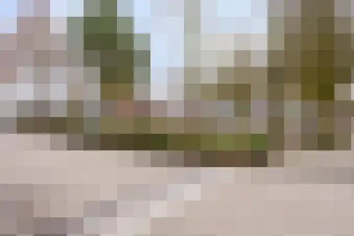 Pannenschuurlaan 63 Oisterwijk thumbnail 26