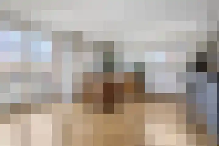 Pannenschuurlaan 63 Oisterwijk thumbnail 7