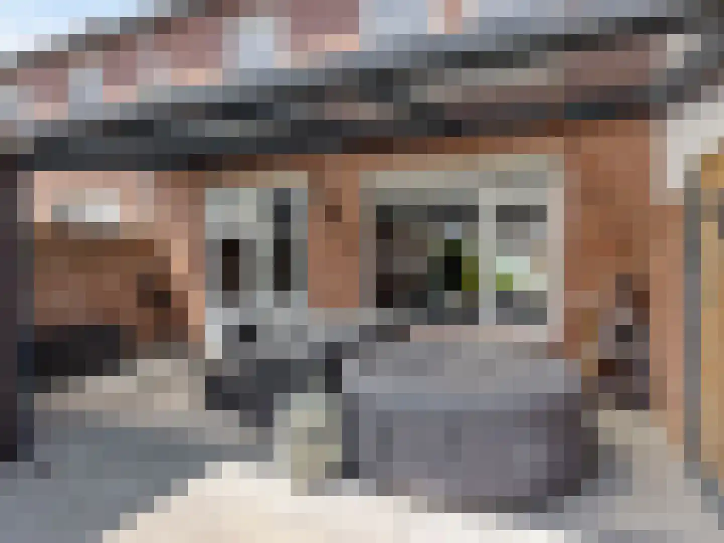 Pannenstaartweg 27 Maasbracht thumbnail 25