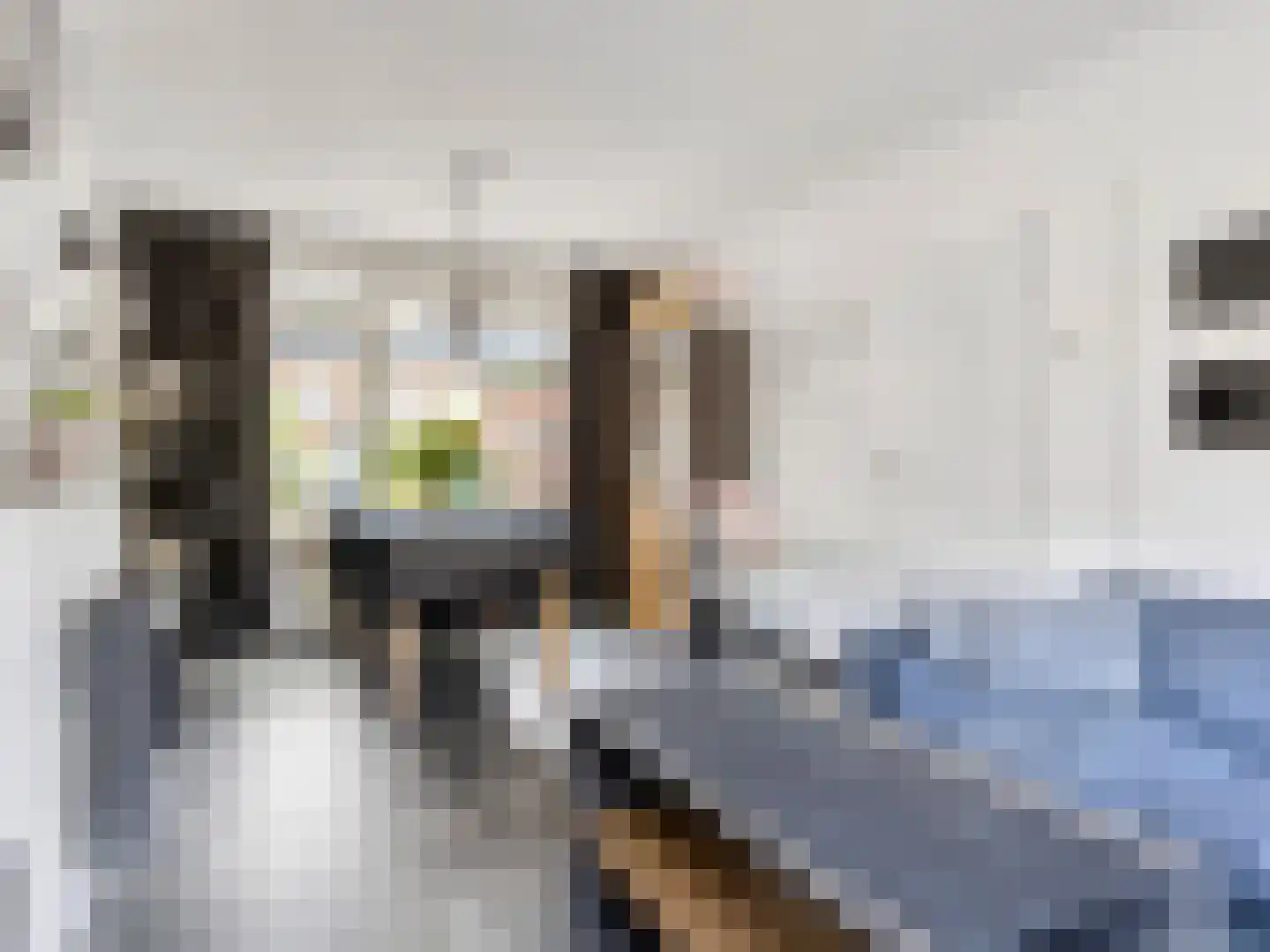 Pannenstaartweg 27 Maasbracht thumbnail 4