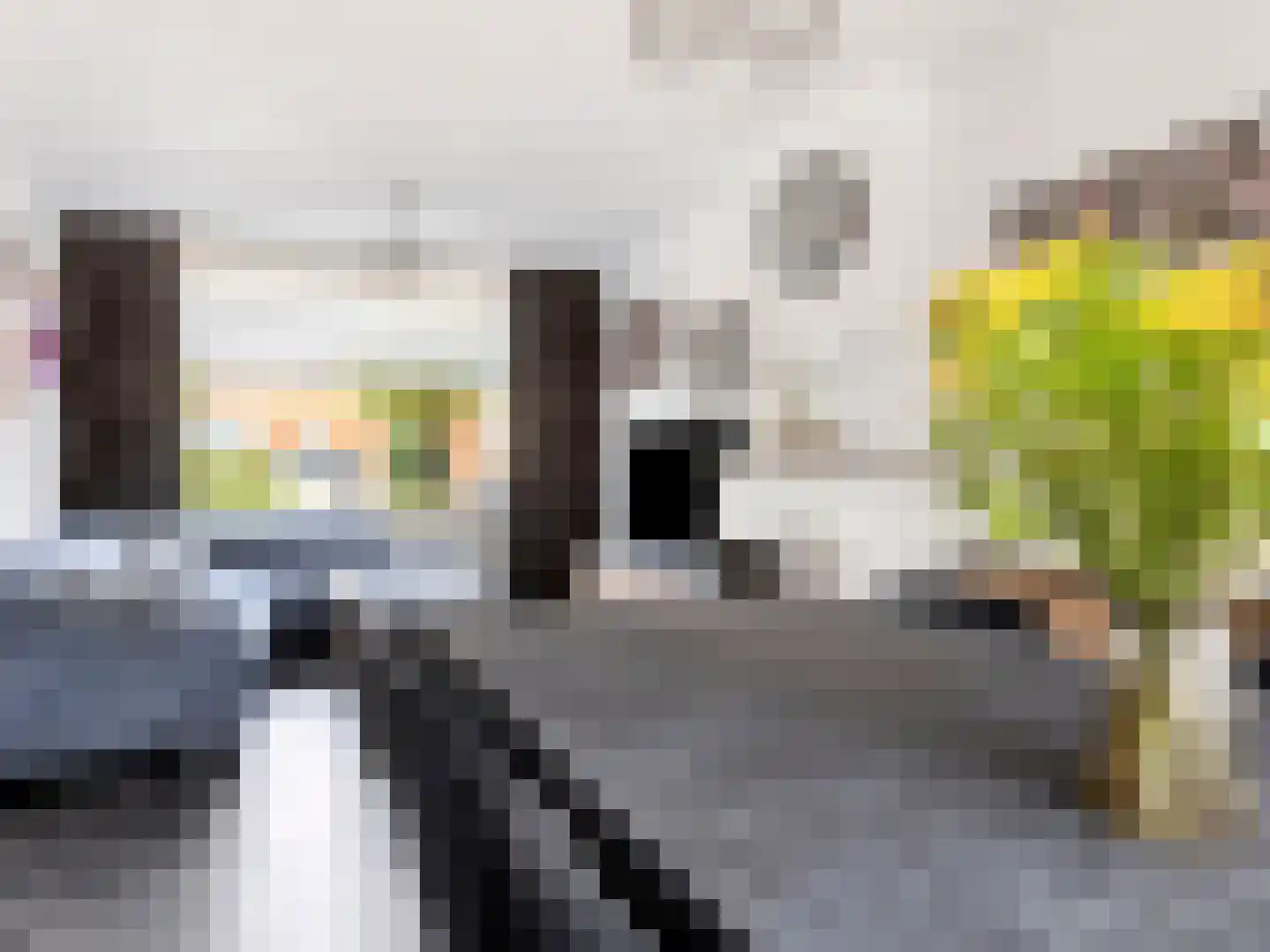 Pannenstaartweg 27 Maasbracht thumbnail 7