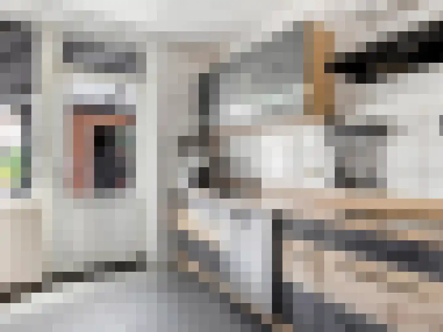 Pannenstaartweg 27 Maasbracht thumbnail 9