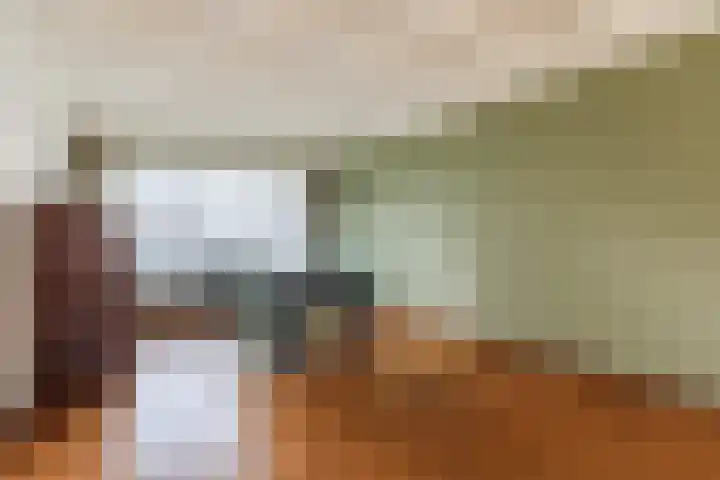 Pannenstaartweg 49 Maasbracht thumbnail 14