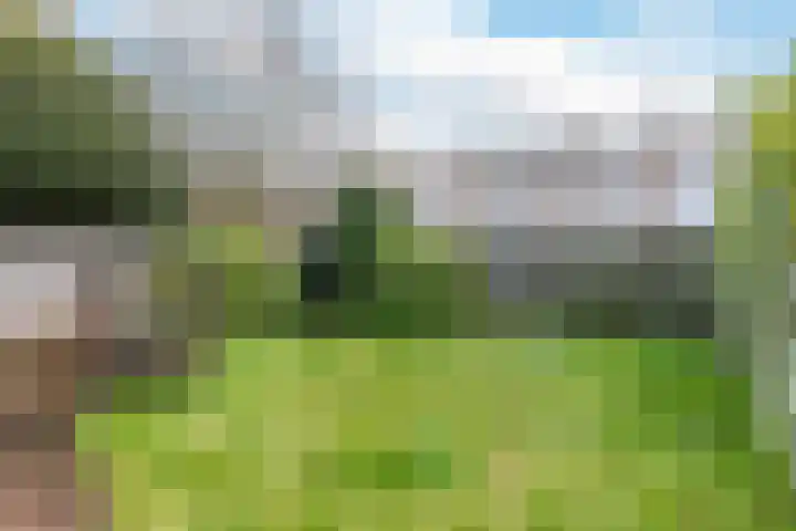 Pannenstaartweg 49 Maasbracht thumbnail 22