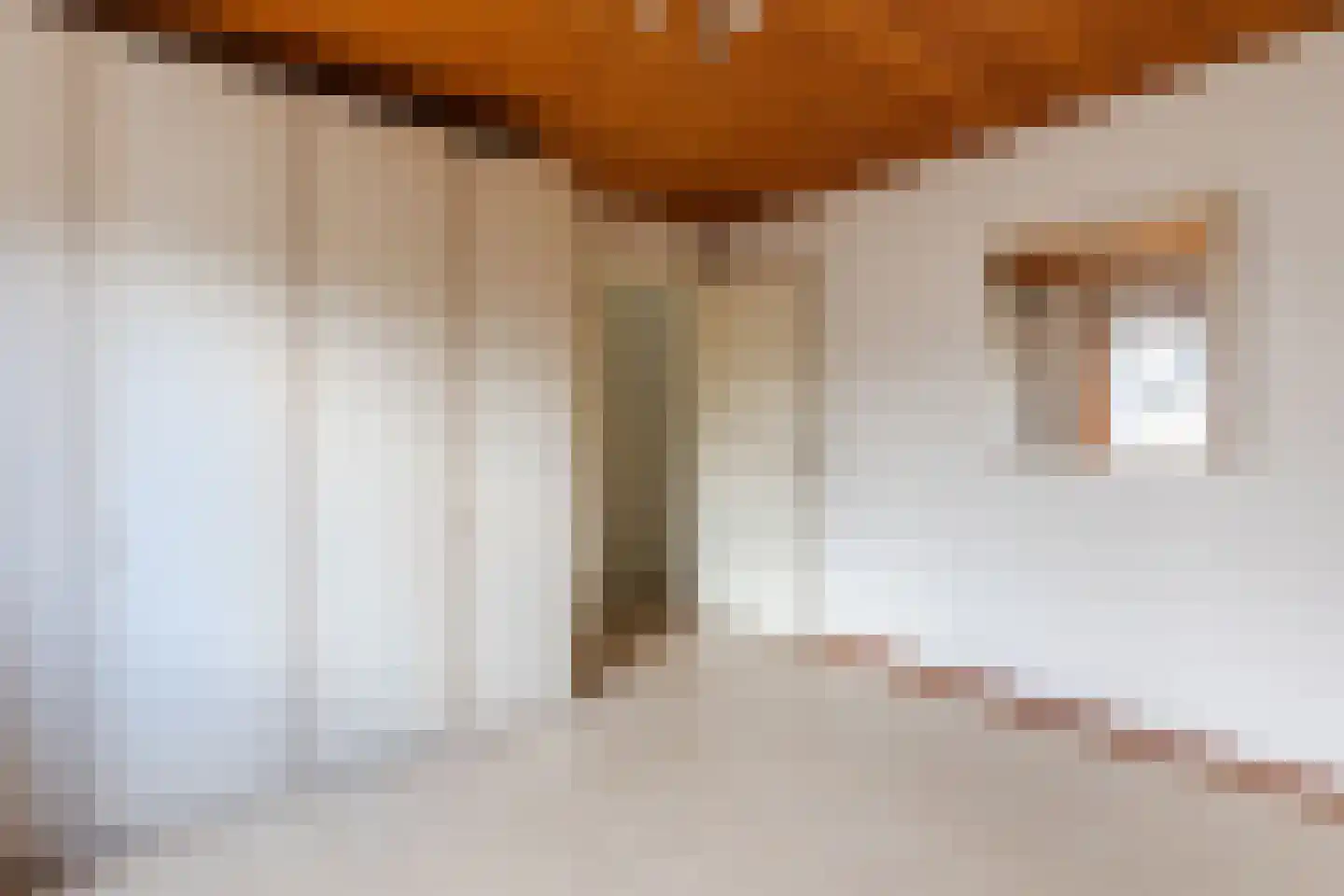 Pannenstaartweg 49 Maasbracht thumbnail 29