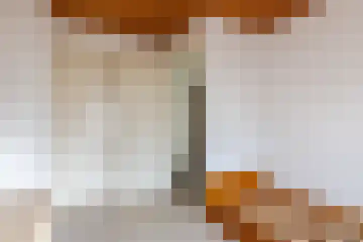Pannenstaartweg 49 Maasbracht thumbnail 31