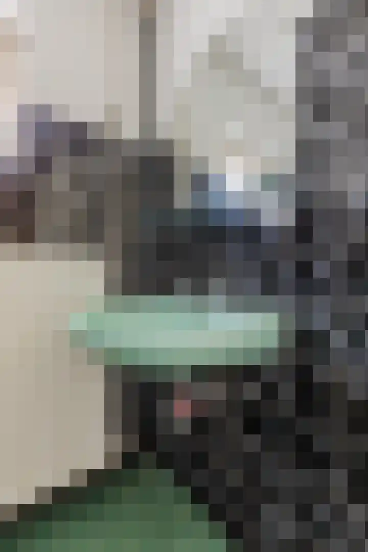 Pannenstaartweg 49 Maasbracht thumbnail 34