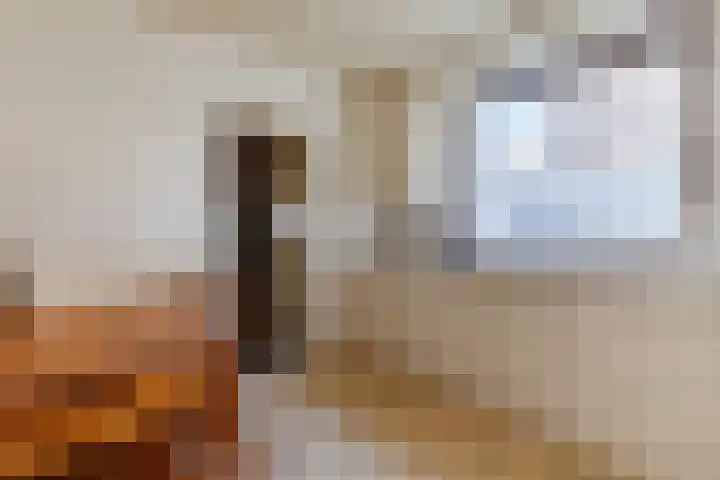 Pannenstaartweg 49 Maasbracht thumbnail 4
