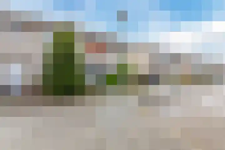 Pannenstaartweg 49 Maasbracht thumbnail 6