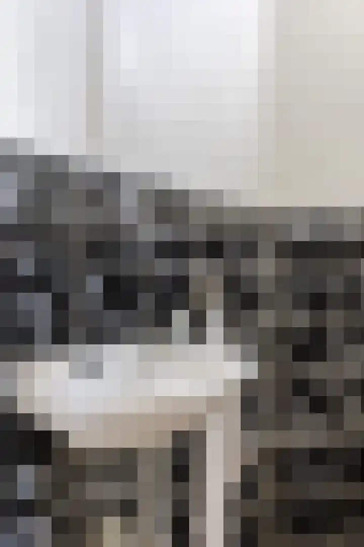 Pannenstaartweg 49 Maasbracht thumbnail 9
