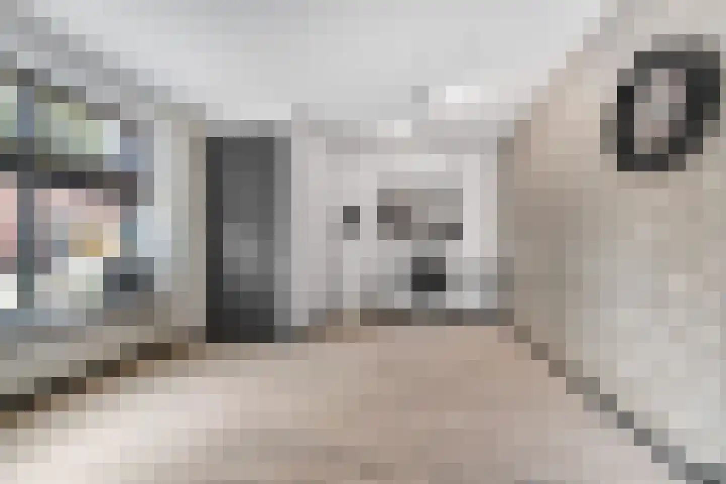 Pannenstraat 20 Groesbeek thumbnail 20
