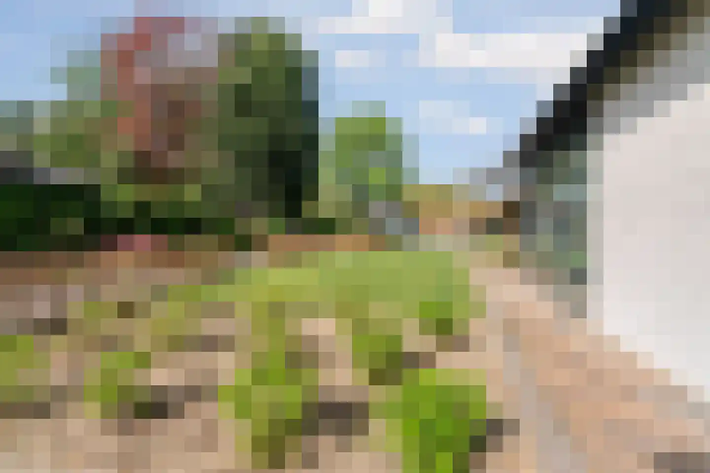 Pannenstraat 20 Groesbeek thumbnail 51