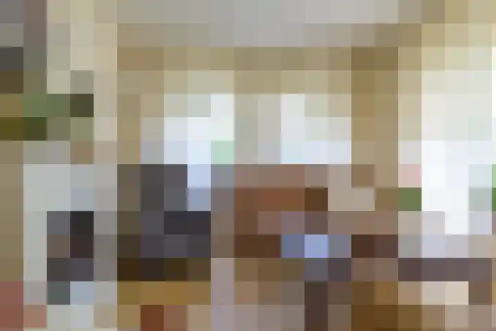 Pannenwerk 46 Rijssen thumbnail 12