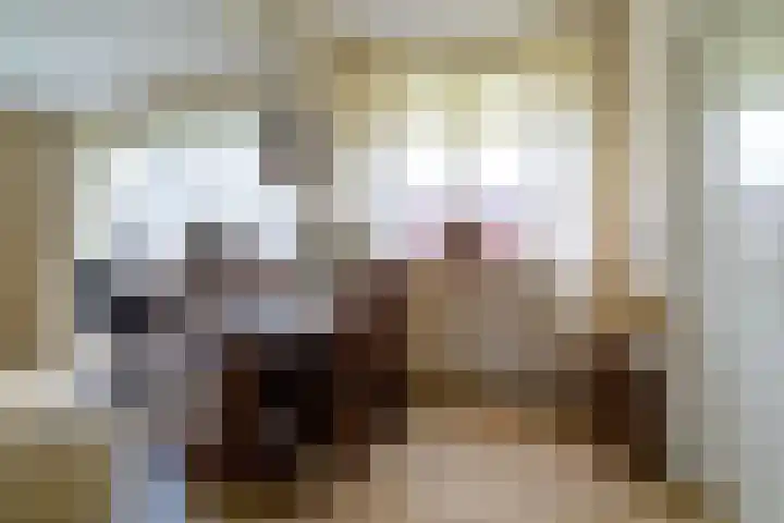 Pannenwerk 46 Rijssen thumbnail 16