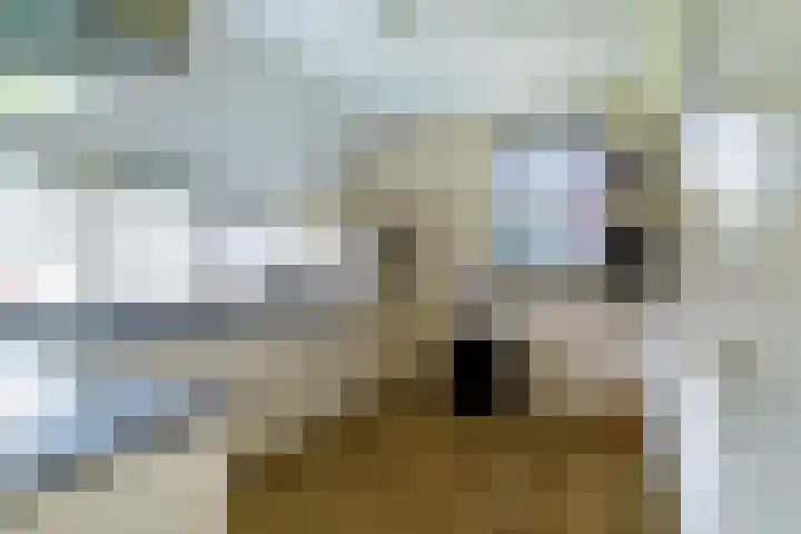 Pannenwerk 46 Rijssen thumbnail 17
