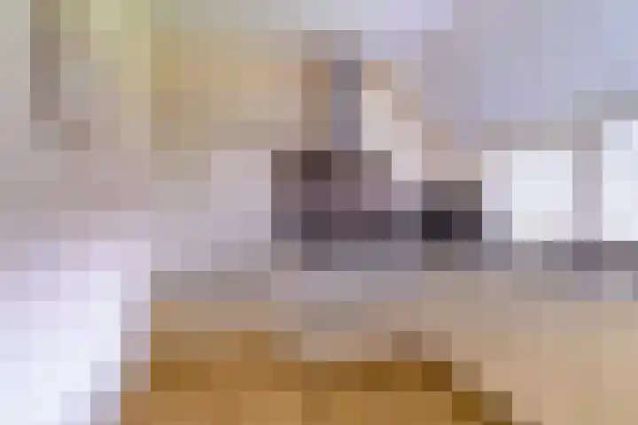 Pannenwerk 46 Rijssen thumbnail 19