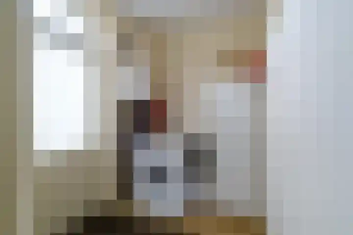 Pannenwerk 46 Rijssen thumbnail 20