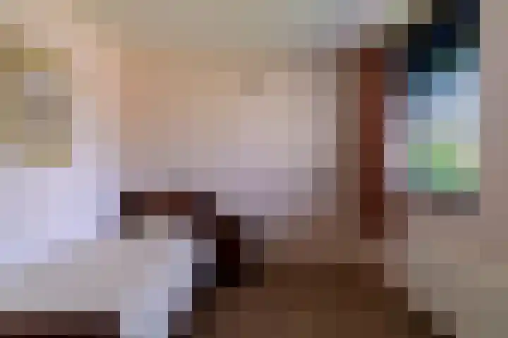 Pannenwerk 46 Rijssen thumbnail 24