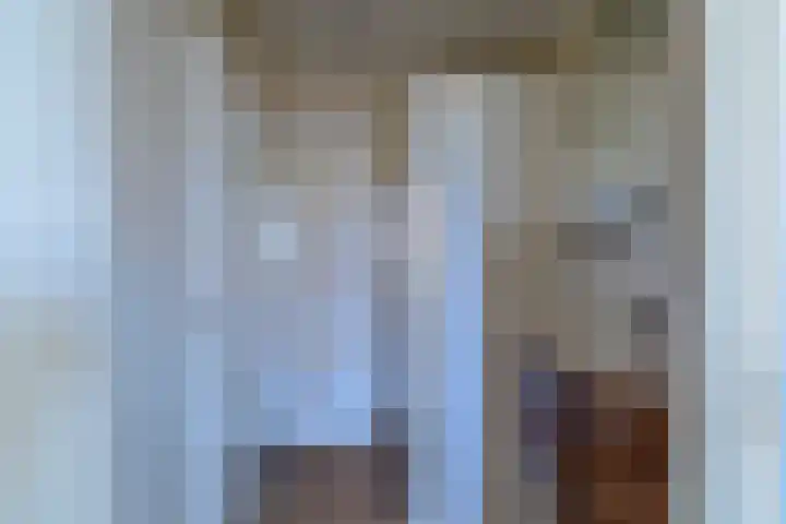 Pannenwerk 46 Rijssen thumbnail 27