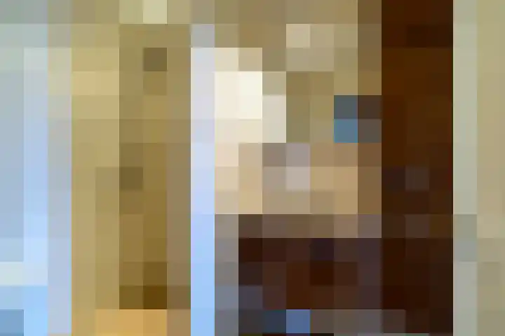 Pannenwerk 46 Rijssen thumbnail 28