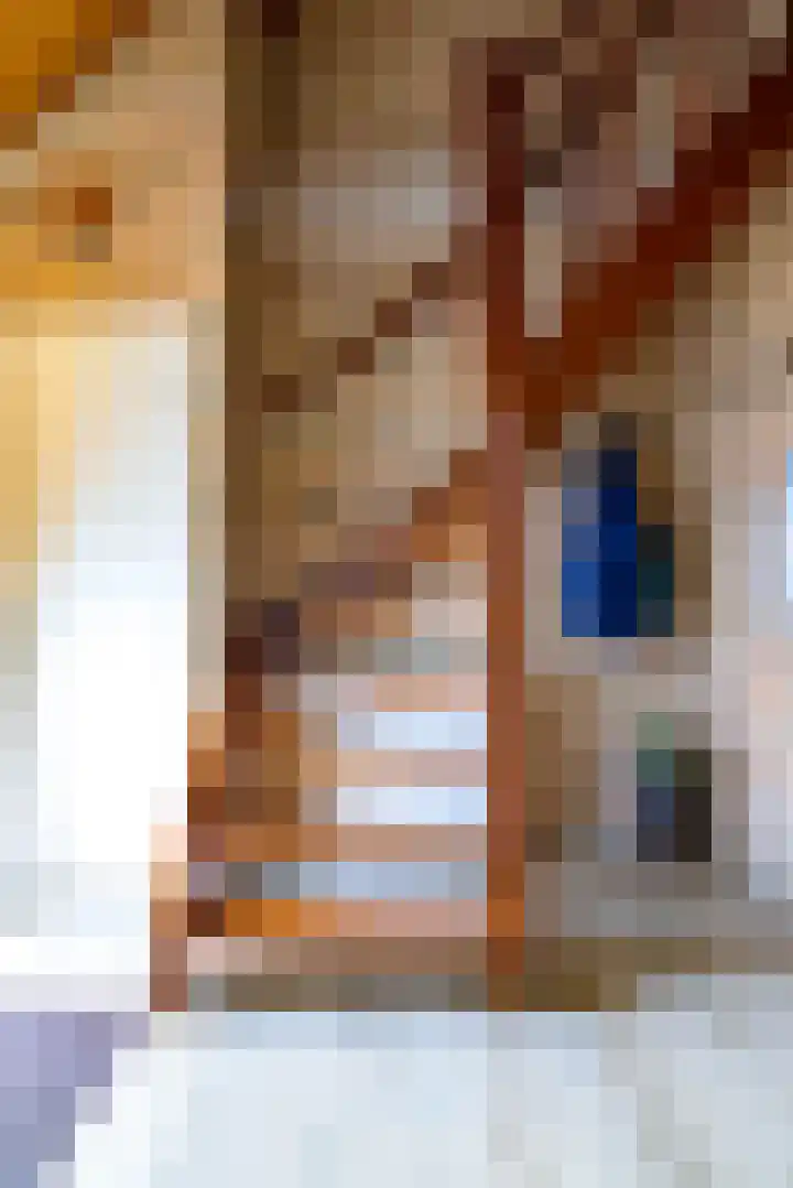 Pannenwerk 46 Rijssen thumbnail 29