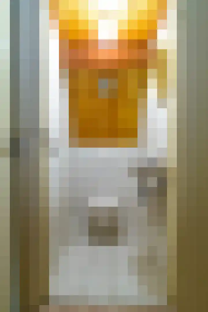 Pannenwerk 46 Rijssen thumbnail 34