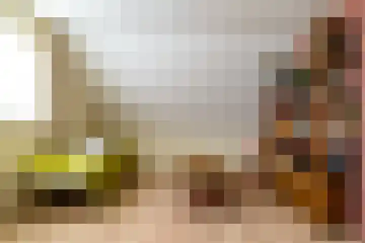 Pannenwerk 46 Rijssen thumbnail 35