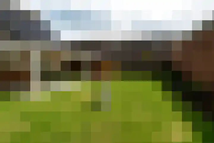 Pannenwerk 46 Rijssen thumbnail 41