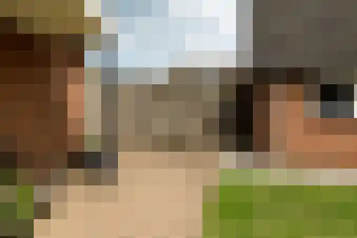Pannenwerk 46 Rijssen thumbnail 42