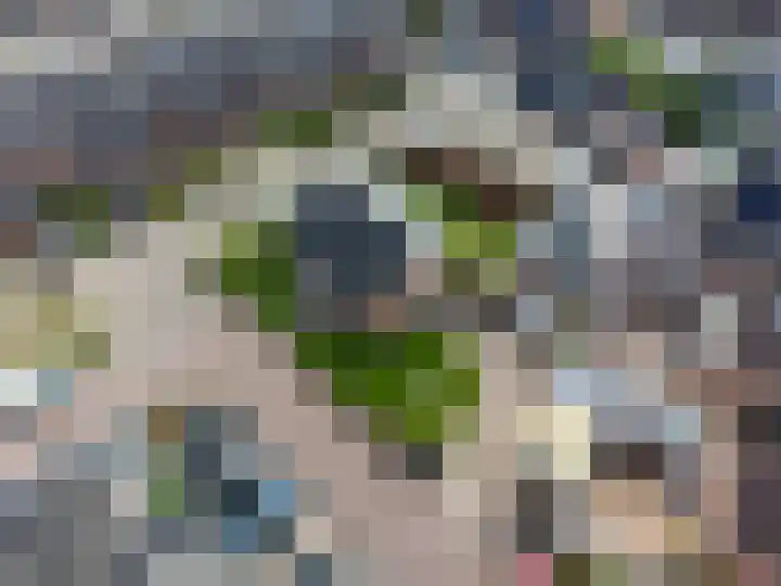 Pannenwerk 46 Rijssen thumbnail 45