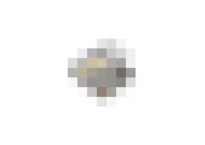 Pannenwerk 46 Rijssen thumbnail 47