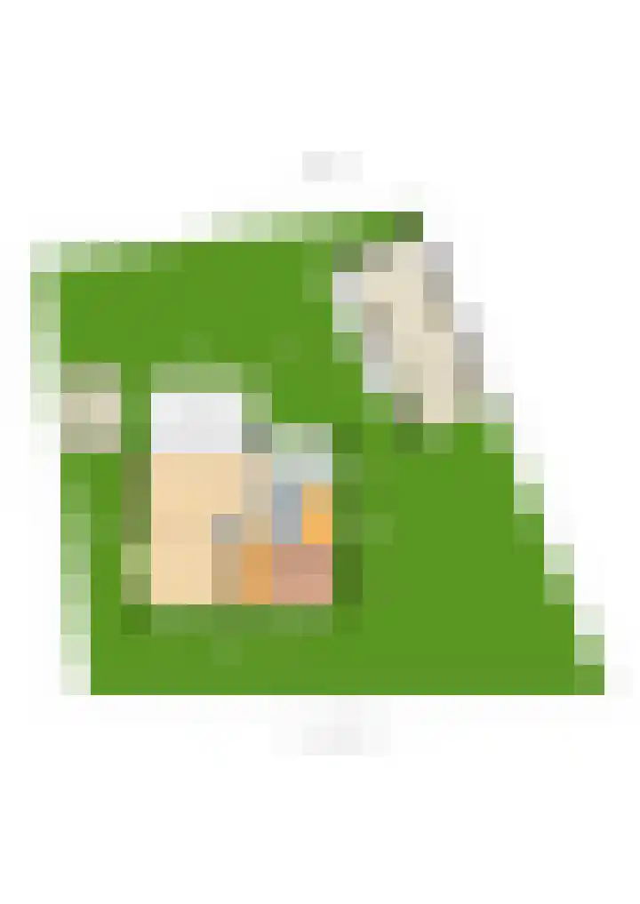 Pannenwerk 46 Rijssen thumbnail 56