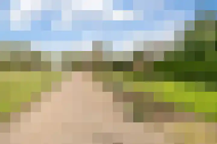 Pannerdensedijk 4 Aerdt thumbnail 33