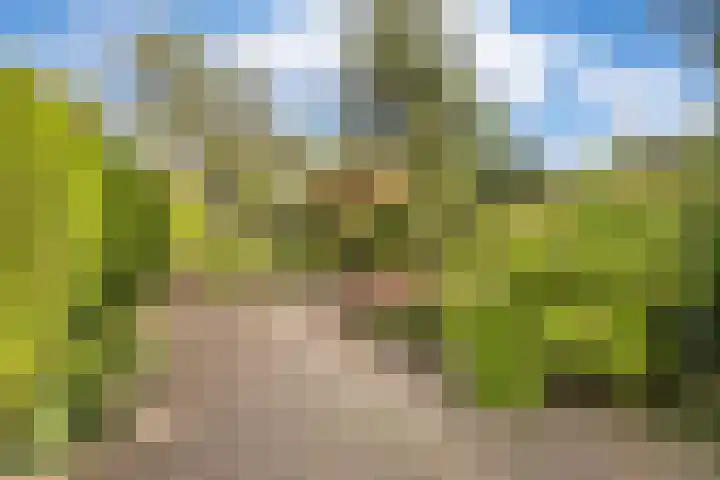 Pannerdensedijk 4 Aerdt thumbnail 34
