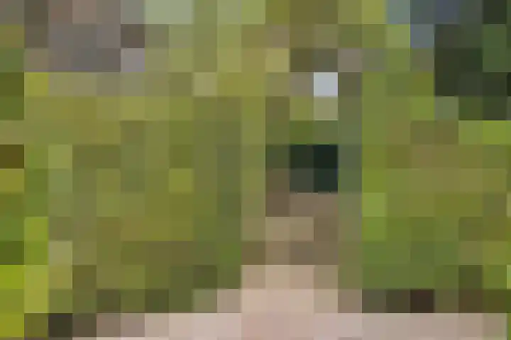 Pannerdensedijk 4 Aerdt thumbnail 36
