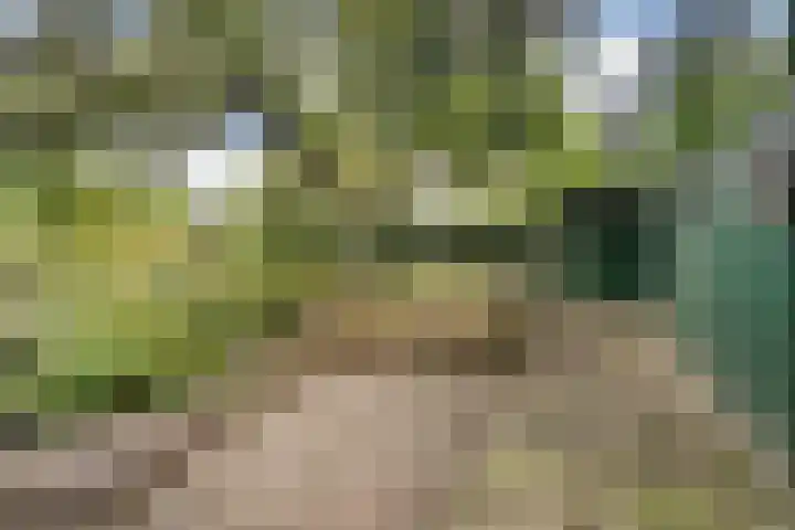 Pannerdensedijk 4 Aerdt thumbnail 37