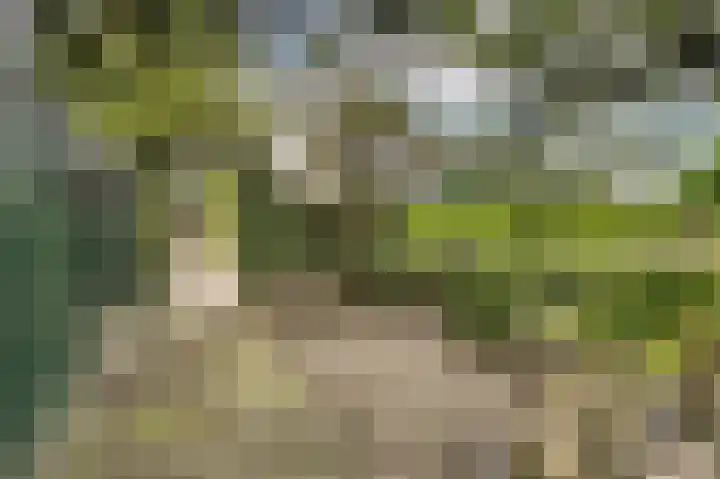 Pannerdensedijk 4 Aerdt thumbnail 38