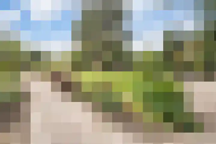 Pannerdensedijk 4 Aerdt thumbnail 39