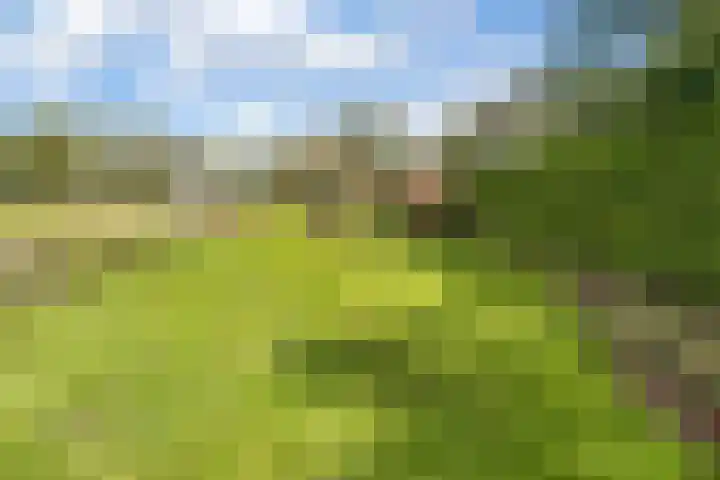 Pannerdensedijk 4 Aerdt thumbnail 4