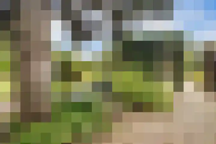 Pannerdensedijk 4 Aerdt thumbnail 41