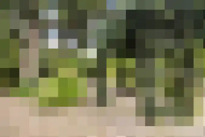 Pannerdensedijk 4 Aerdt thumbnail 42
