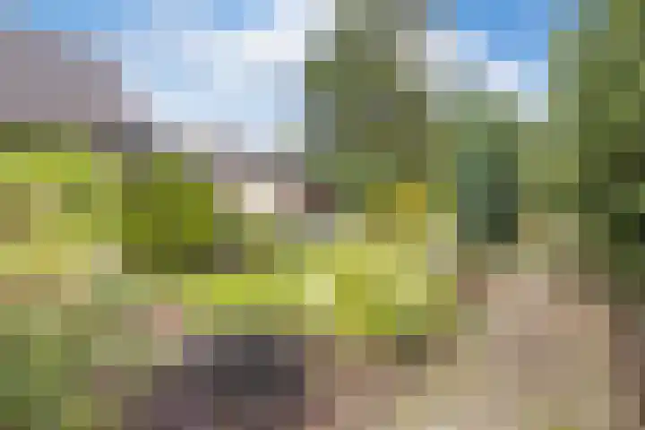 Pannerdensedijk 4 Aerdt thumbnail 43