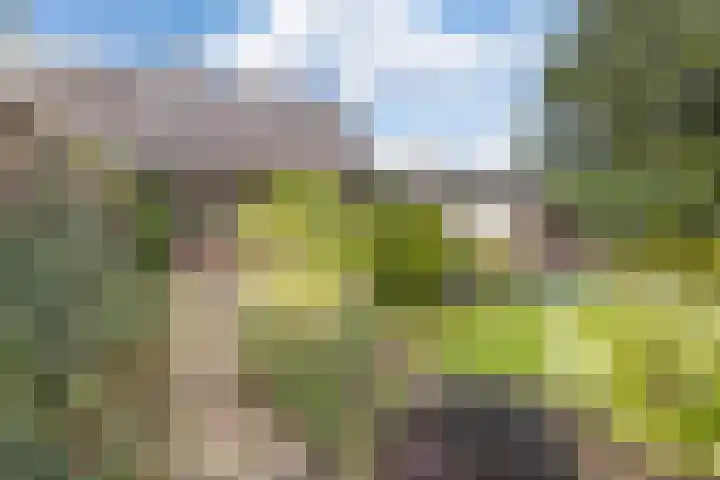 Pannerdensedijk 4 Aerdt thumbnail 44