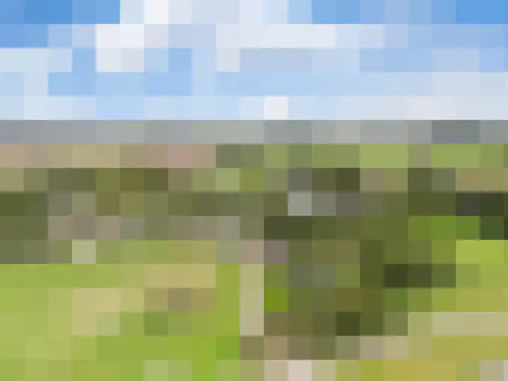 Pannerdensedijk 4 Aerdt thumbnail 45